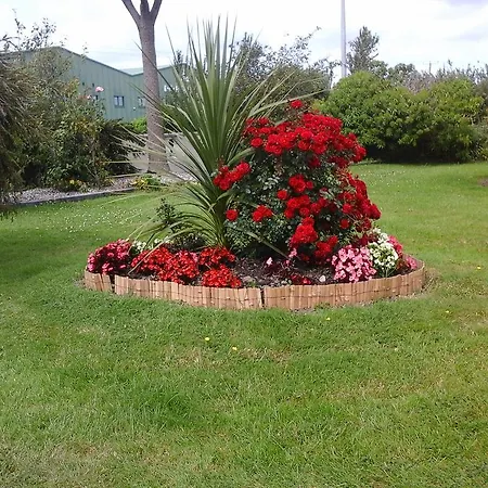 Springfield Accommodation B&B *